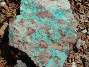 A typical piece of Chrysocolla from the Bumbletown location.