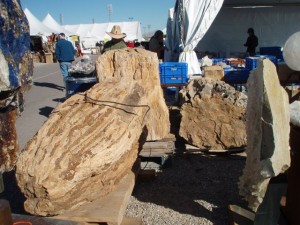 Who would buy a piece of petrified wood this big?