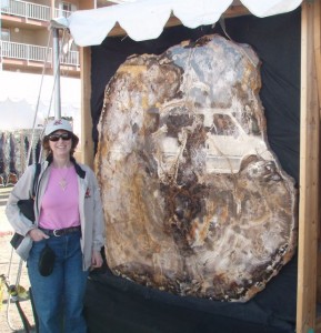 A huge slab of petrified sequoia.