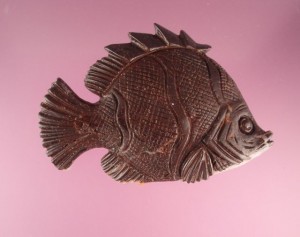 Rear of fish