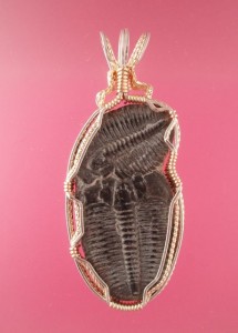 Trilobite family