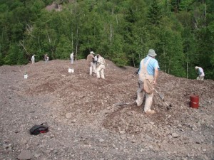 Diggers on the rockpile.