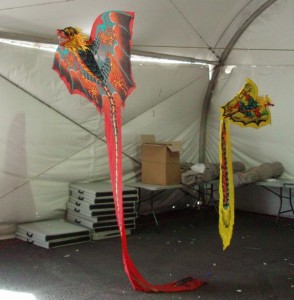 It WAS windy enough to fly these kites today.