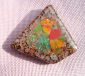 This ammolite insetted into dinosaur bone looks 100% better in person.