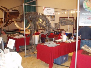 Dino Bones in the Black Hills Institute Display. HTCC