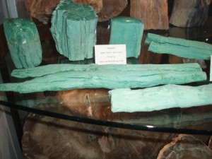 Turquoise-colored petrified wood from Washington