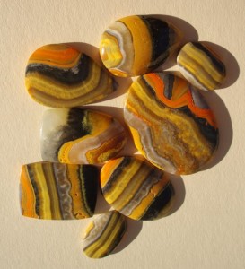 Bumblebee Jasper