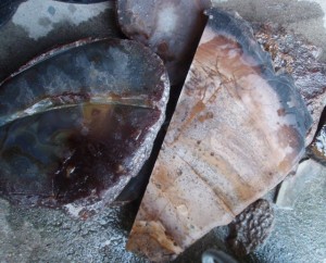 The Owyhee and one of the Brazilian Agates.