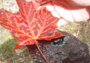 My favorite fall colors, maple Leaves and Greenstones.