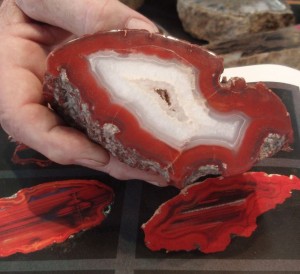 Yellow Cat Petrified Wood, although rare, can still be found.  This bright red wood was used by Tiffany for their jewelry years ago.