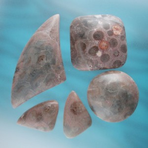 A majority of Pink Petoskey Stones have some distortion caused by the Iron Oxide inclusions.