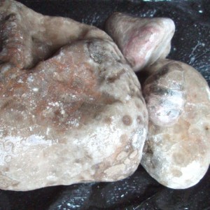 My Favorite, the rare "Pink Petoskey Stone" pile. Three to five of these is a good day indeed!