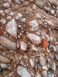 Where's the Petoskey Stone?