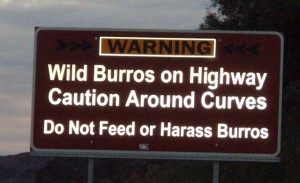 burrosign