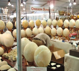 Elephant Bird Eggs