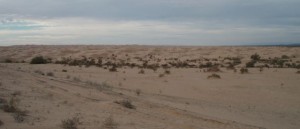 Glamis sand toy area is another strange geological feature. rolling sand dunes for miles and miles.