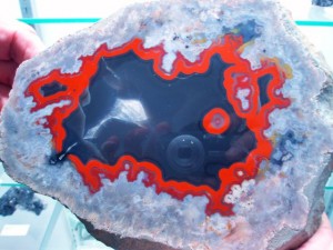 This large gem grade black & Red Kentucky Agate was priced out at $4000.  I never saw a 10" Kentucky, in these coveted colors, that was so nice.