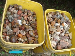 Starting by carefully listening to buckets of rocks, a special few are chosen to go into the sorted rough bucket. 