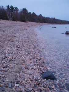 There's got to be a Petoskey Stone around here!