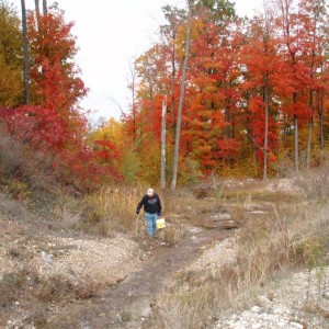 Hunting in an old gravel pit or small stream may produce some nice Pink Petoskey Stones. Most people hunt the shorleline, but there are other areas to find Pink Pets.