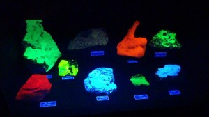 Visiting the Seaman Mineral Museum is always a treat. Their Fluorescent display is shown.