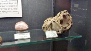 The Pink Petoskey Stone and the Favosite I donated to the Seaman Mineral Museum.