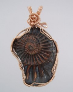 Reverse impression and golden hue make this Ammonite classy.