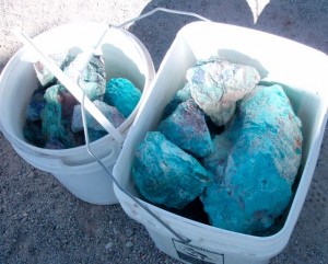 Real nice color in this bucket of Chrysocolla.