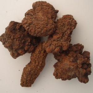 Coprolite-Yes I did indeed buy this crap.