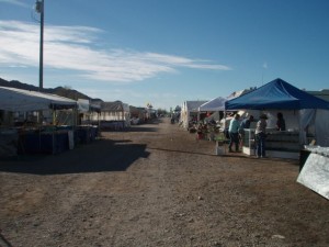 Desert Gardens