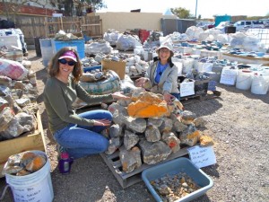 Holly & Bonnie liked the Bumblebee at El Paso Rock Shop.