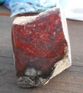 Jasparella Jasper from mountain near Quartzsite. I loved the red.  It looked like red Dino Bone