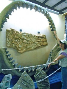 You do not realize just how big a Megalodon was until you see a recreated mouth.