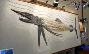 The Fossil Fish.