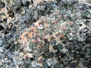 A Giant rock I noticed filled with Tourmaline Crystals, some Watermelon.