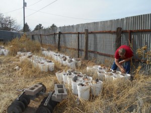 Old buckets buried in the sand burrs.  I hear that Angelic Note that is played when the heavens open up.