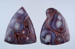 Luna Agate found over 50 years ago.