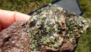 Datolite/Chlorastrolite.  My best find.