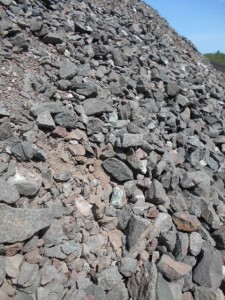 Bonnie sees a pile where there may be a Greenstone.