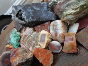 Looking through old buckets of rocks behind a rock shop. 