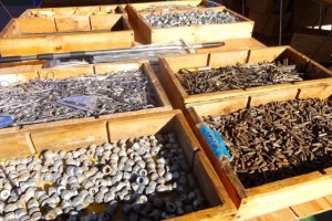 Bins full of rusty items