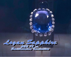 Logan Sapphire