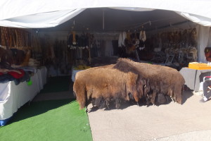 Buffalo hides anyone?