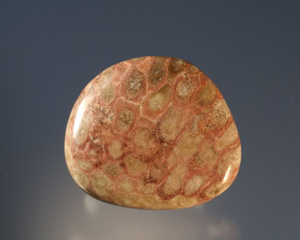 Pink Petoskey Stone