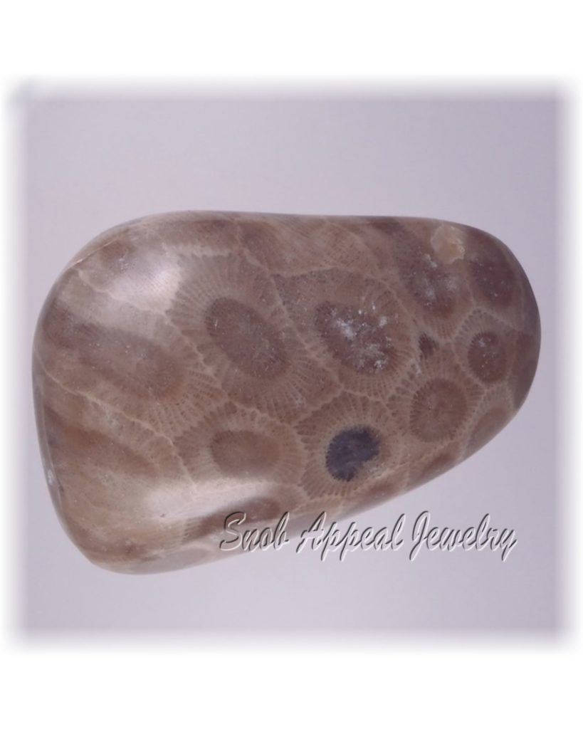 Petoskey Stone