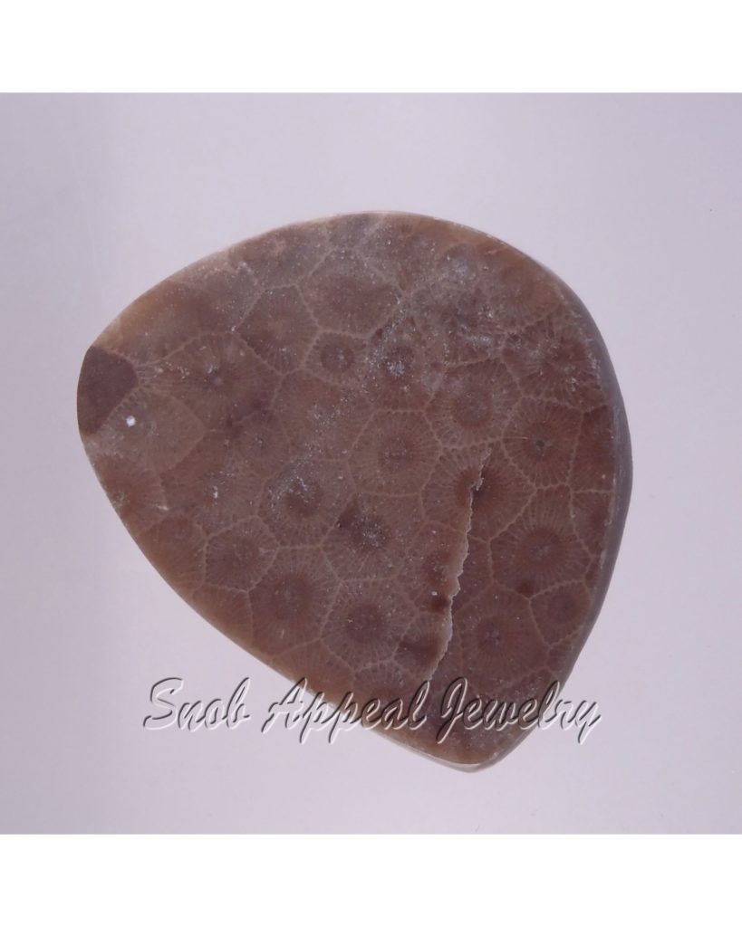 Petoskey Stone