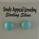 Robin's Egg Turquoise Stud Earrings