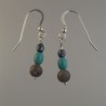 Petoskey and Turquoise Earrings