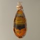 Orange Glow Bumblebee Jasper Pendant