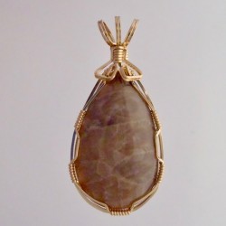 Sidelong Petoskey Stone Pendant